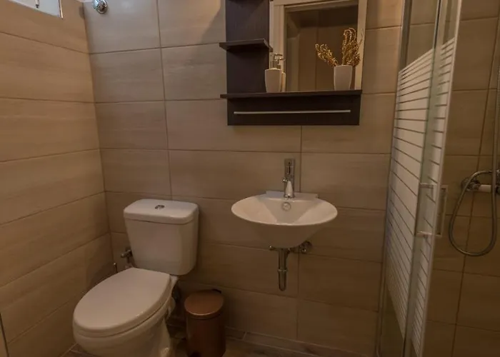 公寓 V. P. Place. *